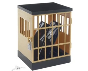 Cell-Phone-Jail-Lock-Box-2026
