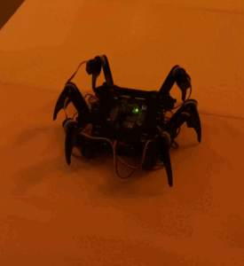 Hexapod-Robot-2026