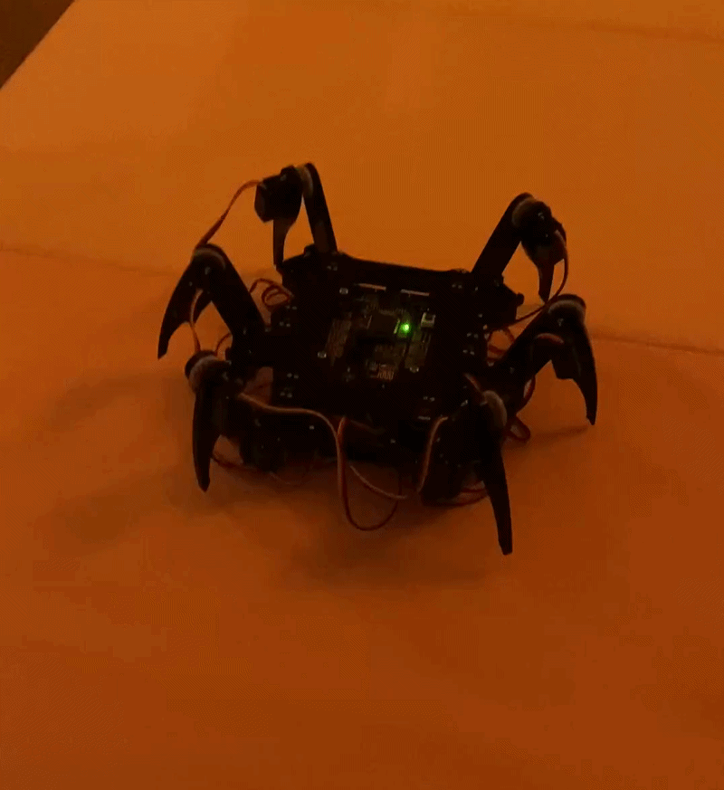 Hexapod-Robot-2026