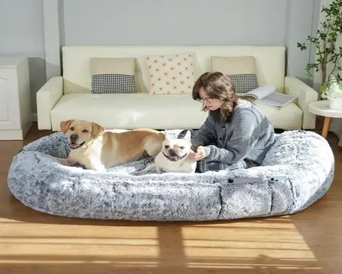 Human-Dog-Bed-2026