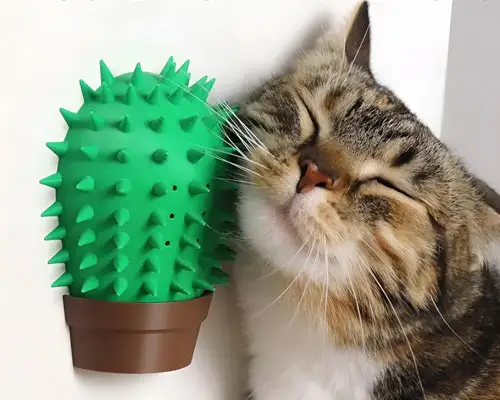 Cactus-Cat-Self-Scratcher-Weird